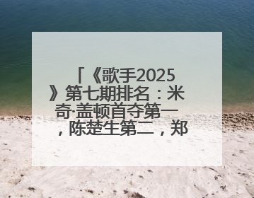 《歌手2025》第七期排名：米奇·盖顿首夺第一，陈楚生第二，郑欣宜将参加下一轮张榜赛