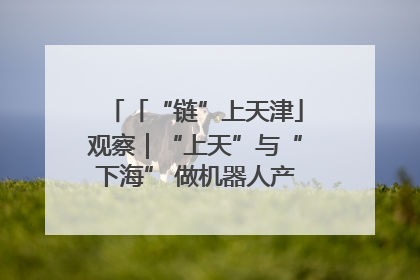 「“链”上天津」观察｜“上天”与“下海” 做机器人产业链细分领域强者