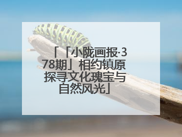 「小陇画报·378期」相约镇原 探寻文化瑰宝与自然风光
