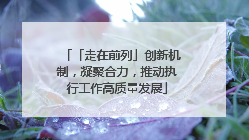 「走在前列」创新机制，凝聚合力，推动执行工作高质量发展