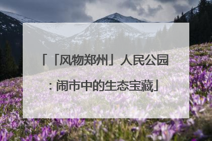 「风物郑州」人民公园：闹市中的生态宝藏
