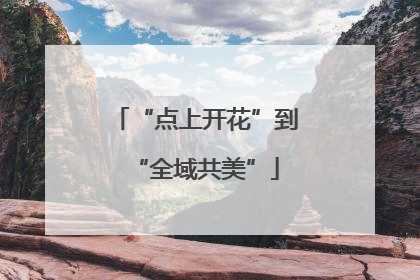 “点上开花”到“全域共美”