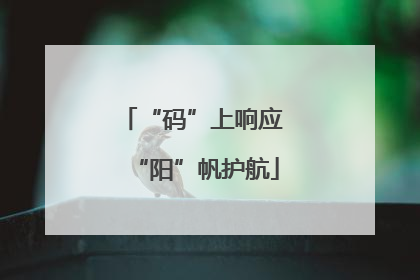 “码”上响应 “阳”帆护航
