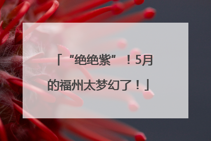 “绝绝紫”！5月的福州太梦幻了！