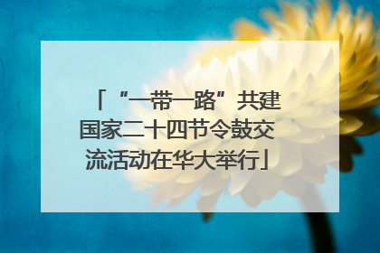 “一带一路”共建国家二十四节令鼓交流活动在华大举行