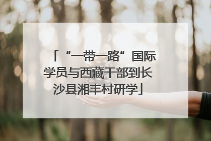 “一带一路”国际学员与西藏干部到长沙县湘丰村研学