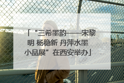 “三希墨韵——宋黎明 杨稳新 丹萍水墨小品展”在西安举办