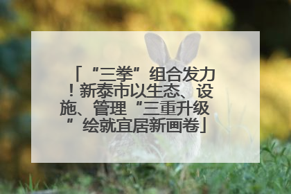 “三拳”组合发力！新泰市以生态、设施、管理“三重升级”绘就宜居新画卷