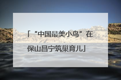 “中国最美小鸟”在保山昌宁筑巢育儿