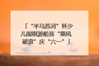 “半马苏河”杯少儿围棋游船赛“乘风破浪”庆“六一”
