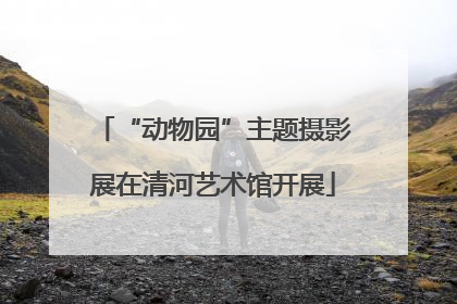 “动物园”主题摄影展在清河艺术馆开展