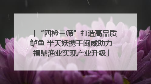 “四检三筛”打造高品质鲈鱼 半天妖携手闽威助力福鼎渔业实现产业升级