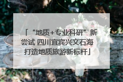 “地质+专业科研”新尝试 四川宜宾兴文石海打造地质旅游新标杆