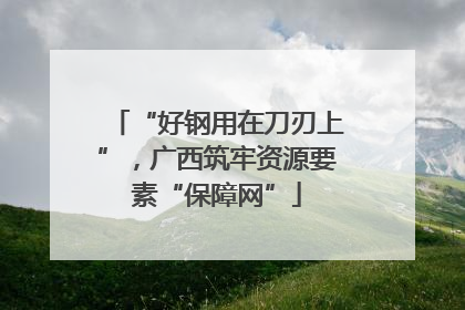 “好钢用在刀刃上”，广西筑牢资源要素“保障网”