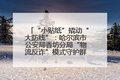 “小贴纸”撬动“大防线”：哈尔滨市公安局香坊分局“物流反诈”模式守护群众“钱袋子”