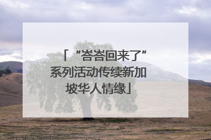 “峇峇回来了”系列活动传续新加坡华人情缘