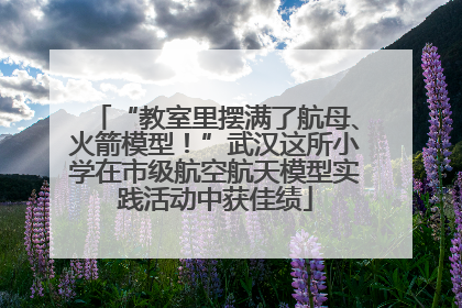 “教室里摆满了航母、火箭模型！”武汉这所小学在市级航空航天模型实践活动中获佳绩