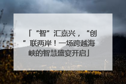 “智”汇嘉兴，“创”联两岸！一场跨越海峡的智慧盛宴开启