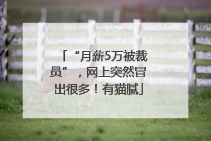 “月薪5万被裁员”，网上突然冒出很多！有猫腻
