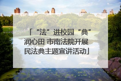 “法”进校园“典”润心田 市南法院开展民法典主题宣讲活动