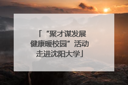 “聚才谋发展 健康暖校园”活动走进沈阳大学