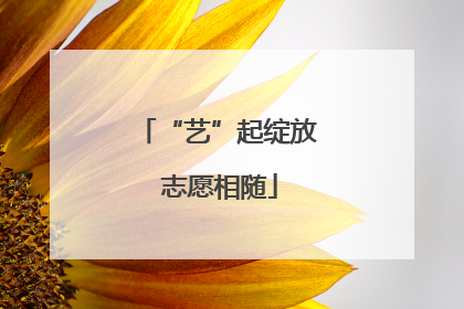 “艺”起绽放 志愿相随