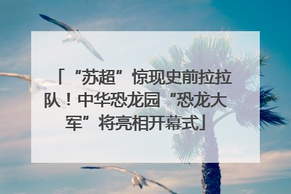 “苏超”惊现史前拉拉队！中华恐龙园“恐龙大军”将亮相开幕式
