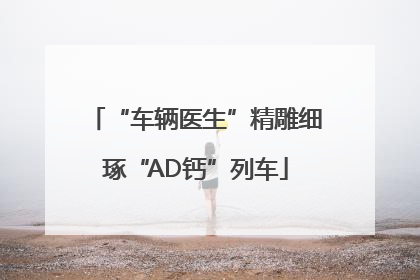 “车辆医生”精雕细琢“AD钙”列车