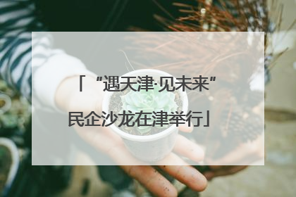 “遇天津·见未来”民企沙龙在津举行