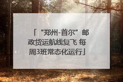 “郑州-首尔”邮政货运航线复飞 每周3班常态化运行