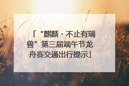 “麒麟・不止有瑞兽”第三届端午节龙舟赛交通出行提示