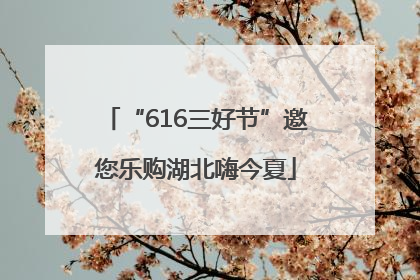 “616三好节”邀您乐购湖北嗨今夏
