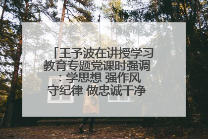 王予波在讲授学习教育专题党课时强调：学思想 强作风 守纪律 做忠诚干净担当的共产党员