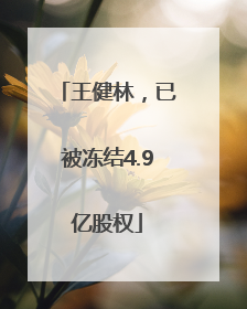 王健林，已被冻结4.9亿股权