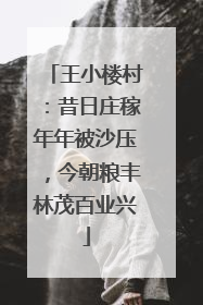 王小楼村：昔日庄稼年年被沙压，今朝粮丰林茂百业兴