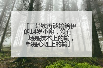 王楚钦再谈输给伊朗14岁小将：没有一场是技术上的输，都是心理上的输