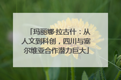 玛丽娜·拉古什：从人文到科创，四川与塞尔维亚合作潜力巨大