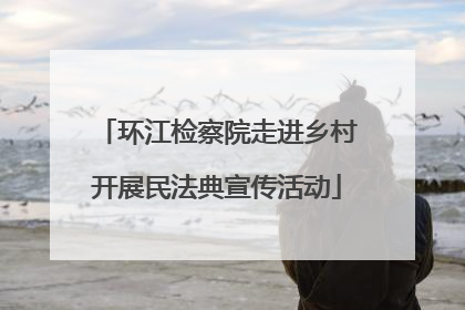 环江检察院走进乡村开展民法典宣传活动