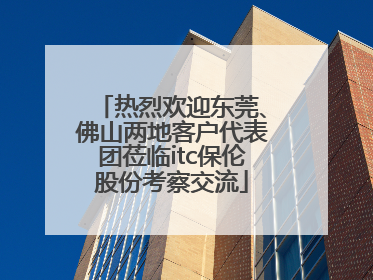 热烈欢迎东莞、佛山两地客户代表团莅临itc保伦股份考察交流
