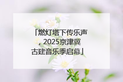 燃灯塔下传乐声，2025京津冀古建音乐季启幕