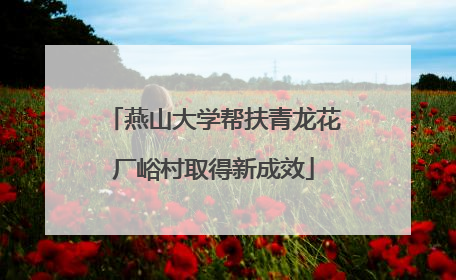 燕山大学帮扶青龙花厂峪村取得新成效