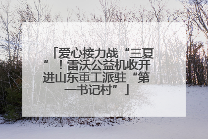 爱心接力战“三夏”！雷沃公益机收开进山东重工派驻“第一书记村”