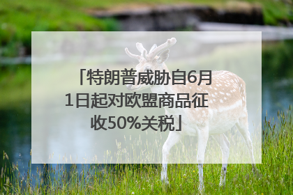 特朗普威胁自6月1日起对欧盟商品征收50%关税