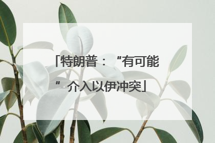 特朗普：“有可能”介入以伊冲突