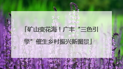 矿山变花海！广丰“三色引擎”催生乡村振兴新图景
