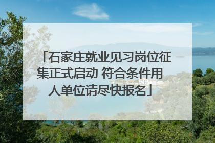 石家庄就业见习岗位征集正式启动 符合条件用人单位请尽快报名