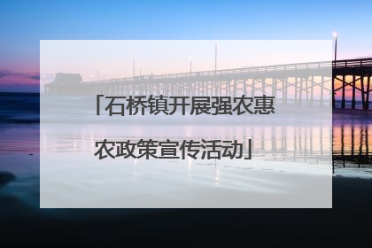 石桥镇开展强农惠农政策宣传活动