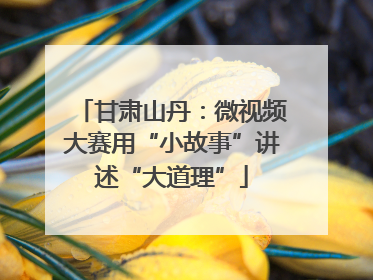 甘肃山丹：微视频大赛用“小故事”讲述“大道理”