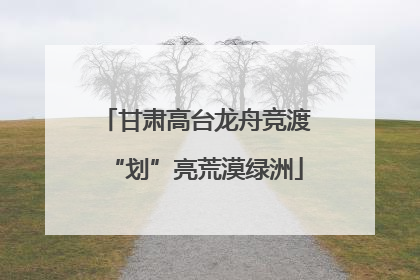 甘肃高台龙舟竞渡“划”亮荒漠绿洲