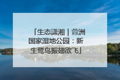 生态潇湘｜萱洲国家湿地公园：新生鹭鸟振翅欲飞